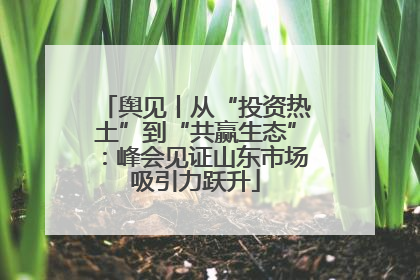 舆见丨从“投资热土”到“共赢生态”：峰会见证山东市场吸引力跃升