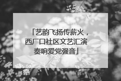 艺韵飞扬传薪火，西厂口社区文艺汇演奏响爱党强音