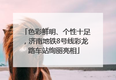 色彩鲜明、个性十足，济南地铁8号线彩龙路车站绚丽亮相