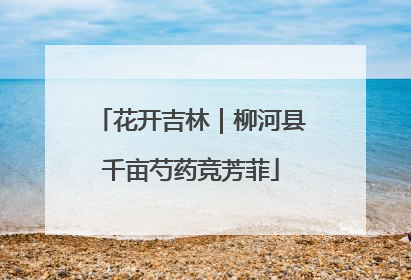 花开吉林｜柳河县千亩芍药竞芳菲