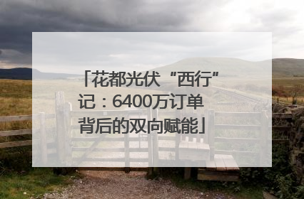 花都光伏“西行”记：6400万订单背后的双向赋能