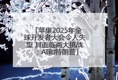 苹果2025年全球开发者大会令人失望 其面临两大挑战：AI和特朗普