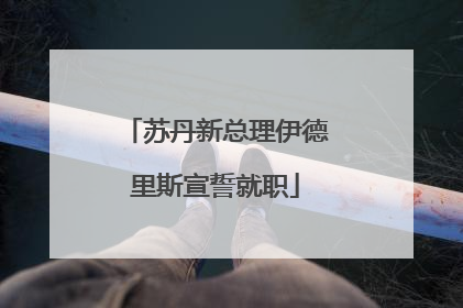 苏丹新总理伊德里斯宣誓就职
