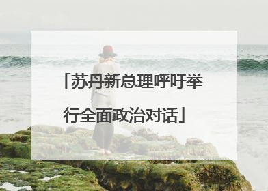 苏丹新总理呼吁举行全面政治对话