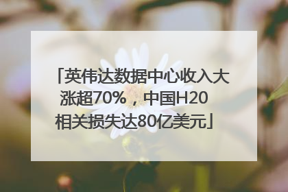 英伟达数据中心收入大涨超70%，中国H20相关损失达80亿美元