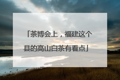 茶博会上，福建这个县的高山白茶有看点