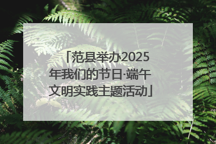 范县举办2025年我们的节日·端午文明实践主题活动