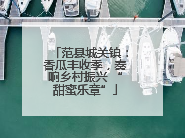 范县城关镇：香瓜丰收季，奏响乡村振兴 “甜蜜乐章”