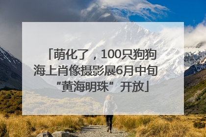 萌化了，100只狗狗海上肖像摄影展6月中旬“黄海明珠”开放