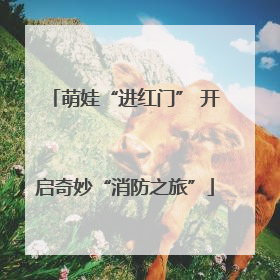萌娃“进红门” 开启奇妙“消防之旅”