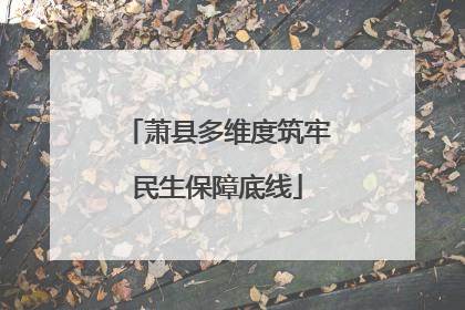 萧县多维度筑牢民生保障底线
