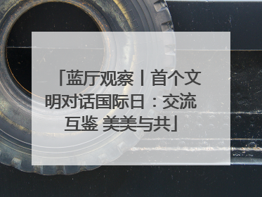 蓝厅观察丨首个文明对话国际日：交流互鉴 美美与共