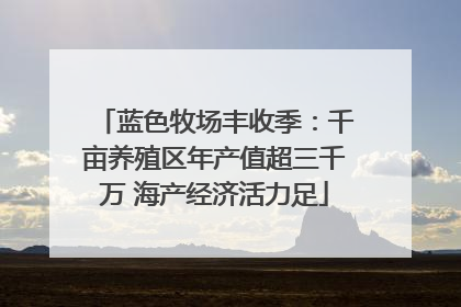 蓝色牧场丰收季：千亩养殖区年产值超三千万 海产经济活力足
