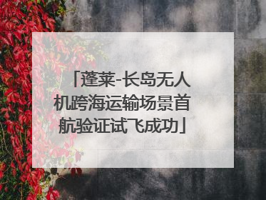 蓬莱-长岛无人机跨海运输场景首航验证试飞成功