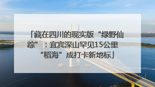 藏在四川的现实版“绿野仙踪”：宜宾深山罕见15公里“稻海”成打卡新地标