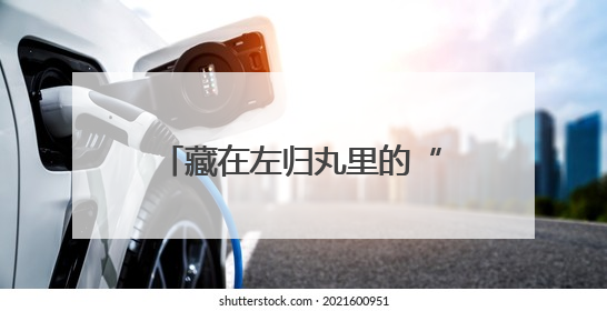 藏在左归丸里的“爱情密码”：仲景宛西制药如何用产品IP讲好品牌故事