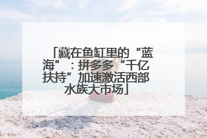 藏在鱼缸里的“蓝海”：拼多多“千亿扶持”加速激活西部水族大市场