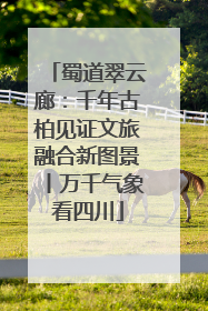 蜀道翠云廊：千年古柏见证文旅融合新图景丨万千气象看四川