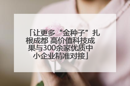 让更多“金种子”扎根成都 高价值科技成果与300余家优质中小企业精准对接