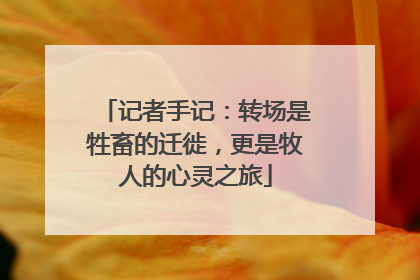 记者手记：转场是牲畜的迁徙，更是牧人的心灵之旅