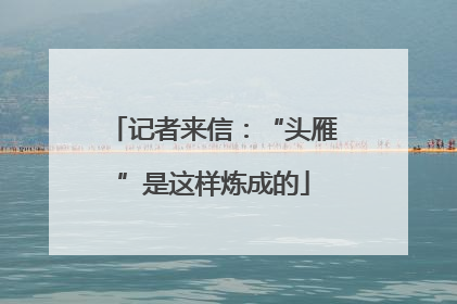 记者来信：“头雁”是这样炼成的