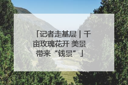 记者走基层｜千亩玫瑰花开 美景带来“钱景”