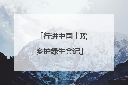 行进中国丨瑶乡护绿生金记
