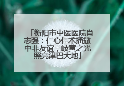 衡阳市中医医院肖志强：仁心仁术播撒中非友谊，岐黄之光照亮津巴大地
