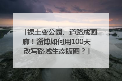 裸土变公园、道路成画廊！淄博如何用100天改写路域生态版图？