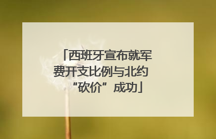 西班牙宣布就军费开支比例与北约“砍价”成功
