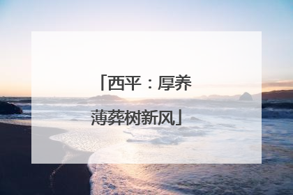 西平：厚养薄葬树新风