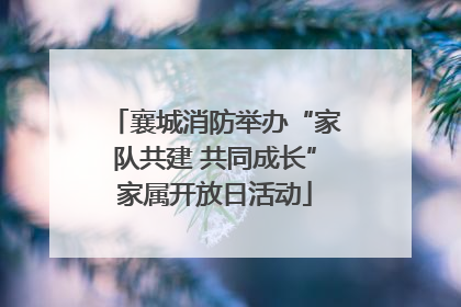 襄城消防举办“家队共建 共同成长”家属开放日活动