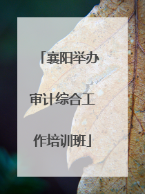 襄阳举办审计综合工作培训班
