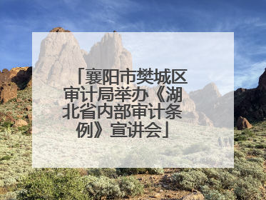 襄阳市樊城区审计局举办《湖北省内部审计条例》宣讲会