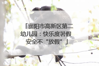 襄阳市高新区第二幼儿园：快乐度暑假 安全不“放假”