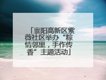 襄阳高新区紫薇社区举办“粽情邻里，手作传香”主题活动