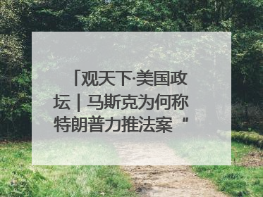 观天下·美国政坛｜马斯克为何称特朗普力推法案“令人作呕”