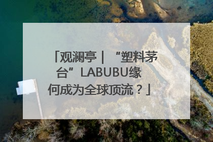 观澜亭｜“塑料茅台”LABUBU缘何成为全球顶流？