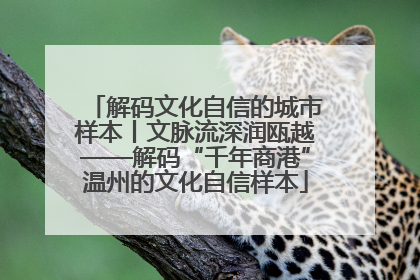 解码文化自信的城市样本丨文脉流深润瓯越——解码“千年商港”温州的文化自信样本
