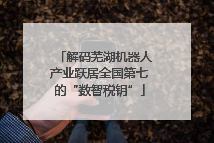 解码芜湖机器人产业跃居全国第七的“数智税钥”