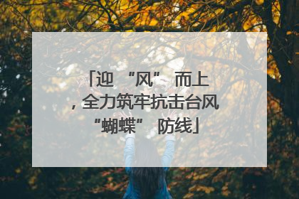 迎 “风” 而上，全力筑牢抗击台风 “蝴蝶” 防线