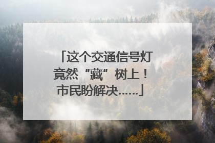 这个交通信号灯竟然“藏”树上！市民盼解决……