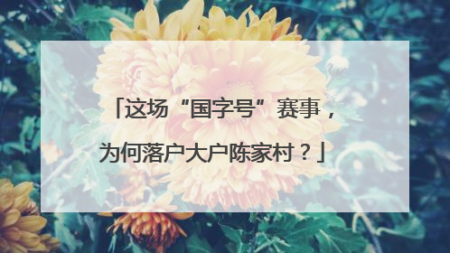 这场“国字号”赛事，为何落户大户陈家村？