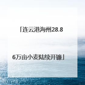 连云港海州28.86万亩小麦陆续开镰