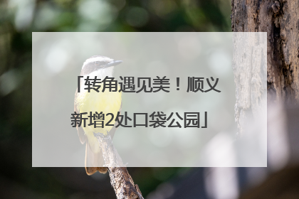 转角遇见美！顺义新增2处口袋公园
