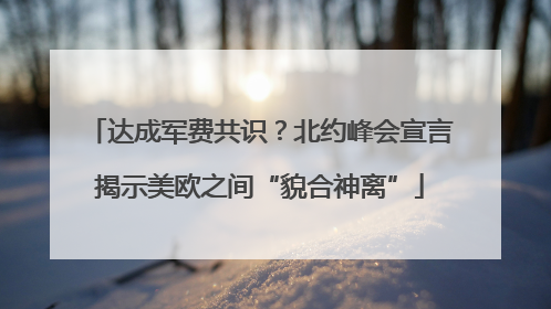 达成军费共识？北约峰会宣言揭示美欧之间“貌合神离”