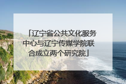 辽宁省公共文化服务中心与辽宁传媒学院联合成立两个研究院