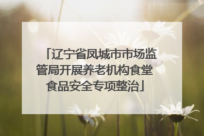 辽宁省凤城市市场监管局开展养老机构食堂食品安全专项整治