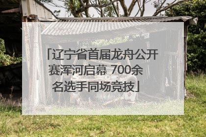 辽宁省首届龙舟公开赛浑河启幕 700余名选手同场竞技
