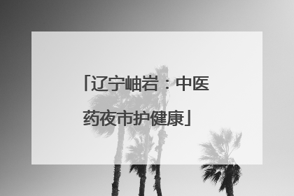 辽宁岫岩：中医药夜市护健康